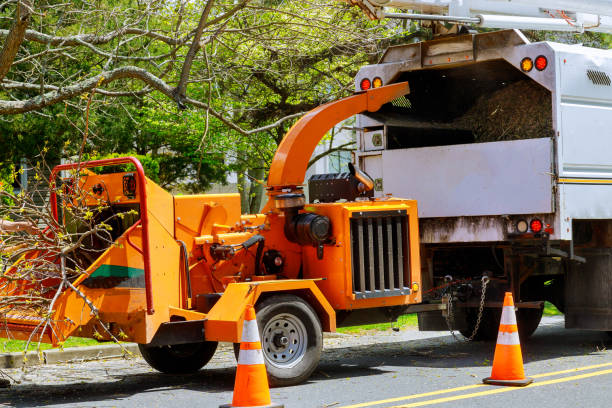 Best Seasonal Cleanup  in Spring Lake, NC